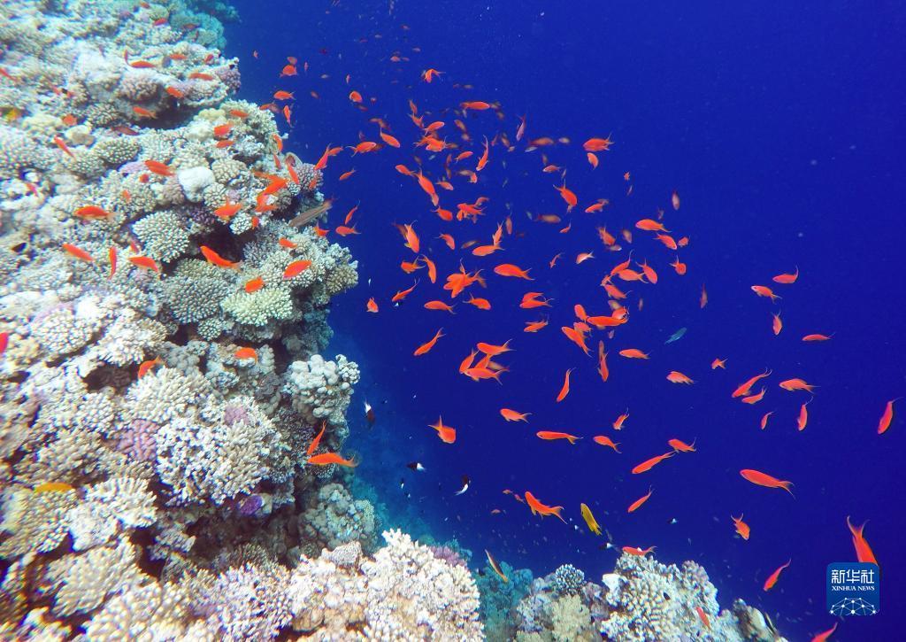水浒传游戏机